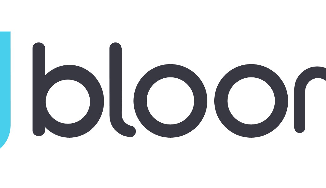Bloomz: Turn down notifications